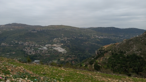 Lord of the Morgles Discord server banner