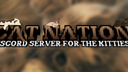 ☾.✴˚˖⁺✦ Cat Nation server banner