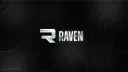 Raven banner