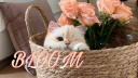 Bloom ♡⸝⸝ Discord server banner