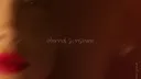 𝒮𝓊𝓃𝓈𝒽𝒾𝓃𝑒 𝜗𝜚 server banner