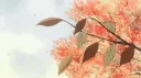 Ignis banner