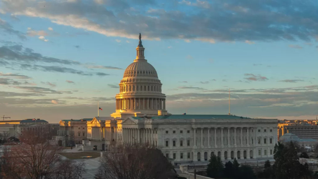 Christopher's Bulwark/Lichtman Fans Discord server banner