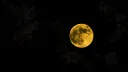 @𝐍𝐢𝐠𝐡𝐭𝐅𝐚𝐥𝐥🌙 banner