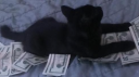 lost Discord server banner