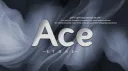 Ace $tore. banner