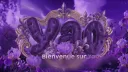 decal banner