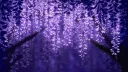 Loser City Discord server banner