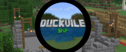 DuckVille SMP server banner