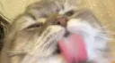 ˗ˏ ⋆🍭 ˚ OnlySign™ 💦 banner