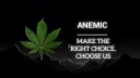 Anemic™ banner
