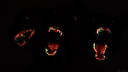 Operation Stray-Dog [18+] Discord server banner