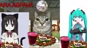 Catland banner