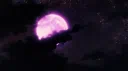 Dreaming Cove™ server banner