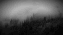 /cried server banner