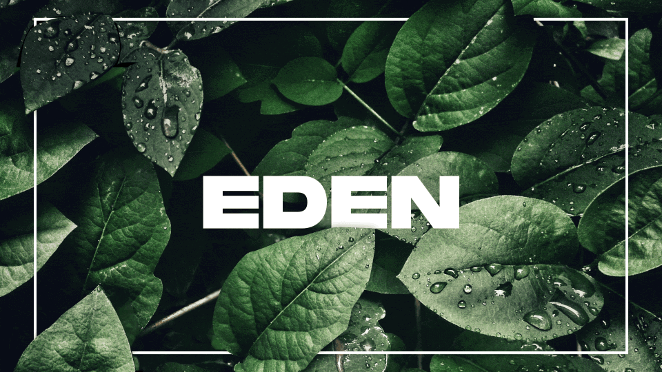 Eden Discord server banner