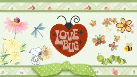 lovebug ʚଓ banner