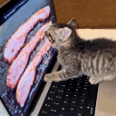 Bepis Kingdom server banner
