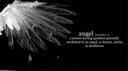 ☁ 𝐅𝐥𝐮𝐟𝐟𝐲 banner