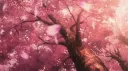 Ｓａｎａ’ｓ ｈａｖｅｎ ୨ৎ server banner