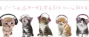 Another Fitness Server Discord server banner