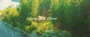 Melez Kampı RolePlay #RPGCommunity banner