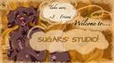 ⭐ Sugar Studios Banner