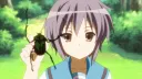 Haruhi hub (coming soon) banner