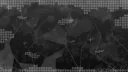 TRC Software server banner