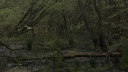 Ehre Knights server banner