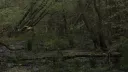 Ehre Knights Discord server banner