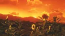 Sunset server banner