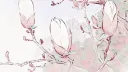 ݂ /admire ﹒୨୧ banner
