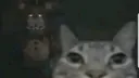 Depressed DBD addicts Discord server banner
