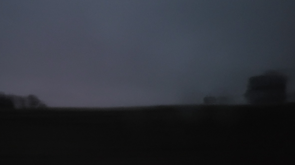 P3stering_Bvgs Discord server banner