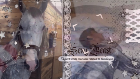 sexybeasts Discord server banner