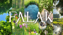 FALAK ™ 🦋 | Social . Events . Gws . Voice Chats . Chill Banner