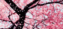 Cozy Corner ✗ Social ~ Chi... banner