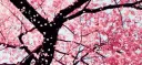 Cozy Corner ✗  Social ~ Chill ~ Hangout ~ Fun server banner