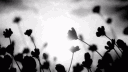 .mT - SHOP banner