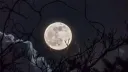 🌙 • Moonlight Heaven • 🌙 banner