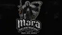 ⌊ 𝓜𝓢𝟣𝟥」Mara Salvatrucha banner