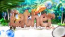 Eather 🥥 banner