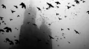 𝐁𝐑𝐎𝐓𝐇𝐄𝐑𝐒 banner