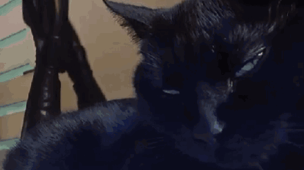 LARRY KA BASEMENT Discord server banner