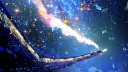 ゛🌙 moonlight bloomˎˊ˗ Discord server banner