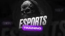 Esports Training NSA Discord server banner