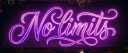 🜲 𝖭𝖮 🜲 𝖫𝖨𝖬𝖨𝖳𝖲 🜲 server banner