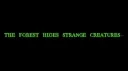 radiobelle SAFE HAVEN server banner