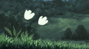 #Couseed banner
